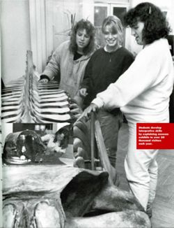 67111de7a6dfa7.13094049.pdf page 43