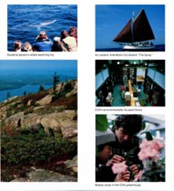 671121d72a6e18.31460738.pdf page 6