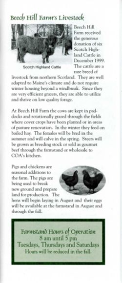 67112367f0ae97.22588161.pdf page 4