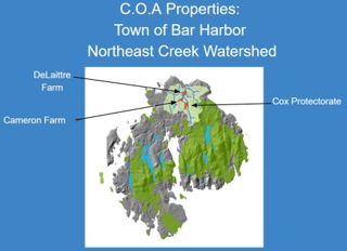 Land Use Analysis for New COA Properties: Peggy Rockefeller Farm and Cox Protectorate
