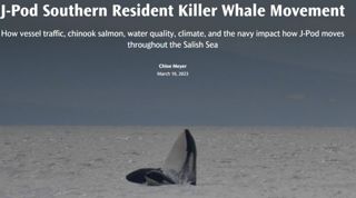 J-Pod Southern Resident Killer Whale Movement