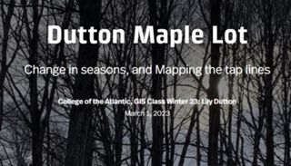 Dutton Maple Lot
