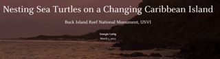 Nesting Sea Turtles on a Changing Caribbean Island