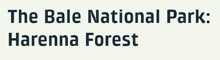 The Bale National Park: Harenna Forest, Ethiopia