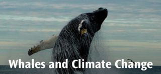 Whales and Climate Change