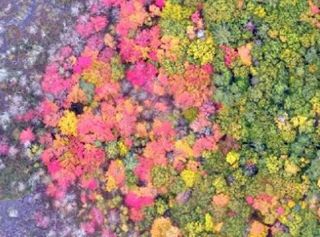 Studying Land Features using Drone Imagery