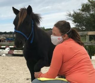 Horse Healthcare in Maine
