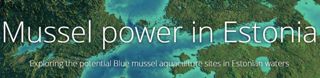 Mussel Power In Estonia