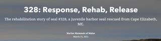 328: Response, Rehab, Release