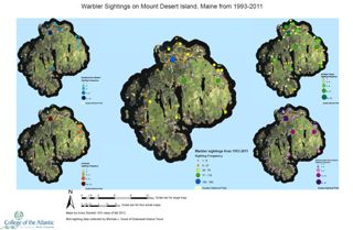Warbler Sightings on MDI from 1993-2011