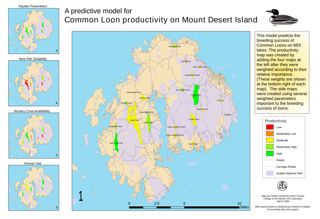 A Predictive Model for Common Loon Productivity on Mount Desert Island