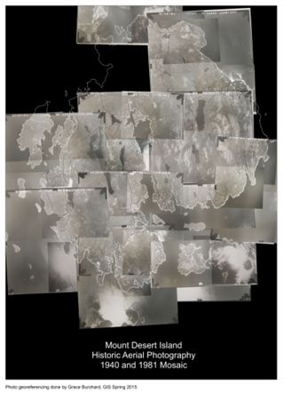 Mount Desert Island Historical Aerial Photography 1940 and 1981 Mosaic