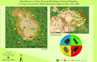 Distribution of Four Ground-Dwelling Arthropod Families