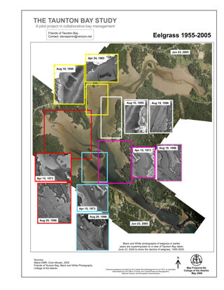 The Taunton Bay Study: Eelgrass 1955-2005