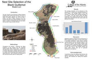 Nest Site Selection of the Black Guillemot on Great Duck island