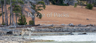 Puzzle of Packs
