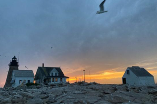 Life on a Barren Rock (Mount Desert Rock)