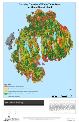 Carrying Capacity of White-Tailed Deer on Mount Desert Island
