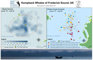 Humpback Whales of Frederick Sound, AK