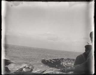 Glass Plate Negative, Mount Desert Rock