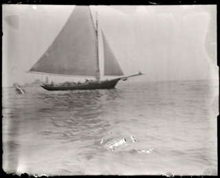 Glass Plate Negative, Mount Desert Rock