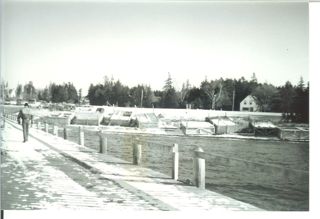 Lobster cars hauled out for winter 2001