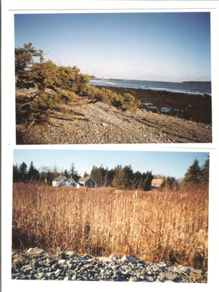 Coast Guard Station from Gilley beach, Gilley Farm 1998