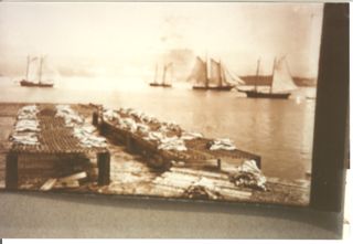 Drying fish Islesford Taken by F.W. Morse