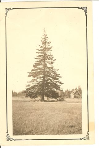 Frank Stanley's house Later Herb Stroups