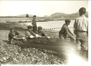 Seigning at Bunker's Cove