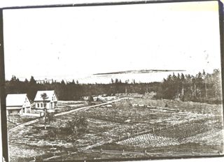 View twards Baker's Island