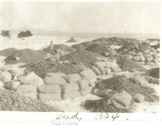 W. A. Young amid the coal from the wreck Don Parsons