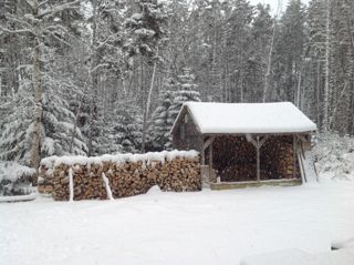 Winter firewood