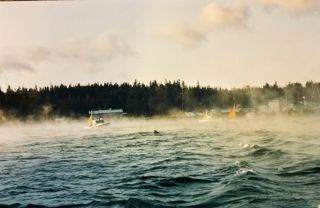 Harbor sea smoke