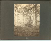 1279-27.jpg