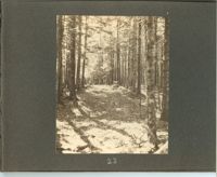 1279-24.jpg