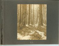 1279-23.jpg