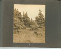 1279-20.jpg