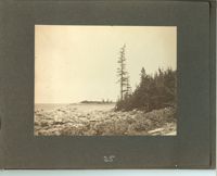 1279-26.jpg