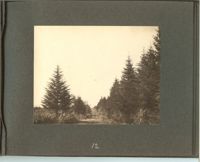 1279-13.jpg