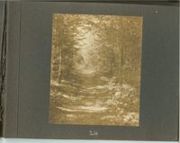 1279-25.jpg