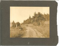 1279-6.jpg