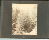 1279-22.jpg