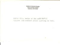 1043-1.jpg