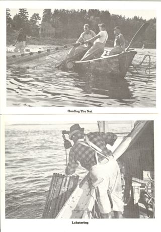 Hauling the Net and Lobstering