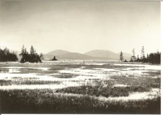 The Marsh looking towards Mount Desert Island