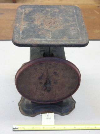 Scale