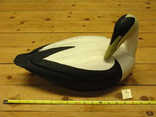 Eider duck decoy