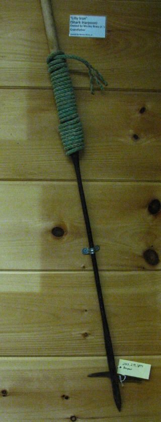 Harpoon or "Lilly Iron" with swivel piece on the barb