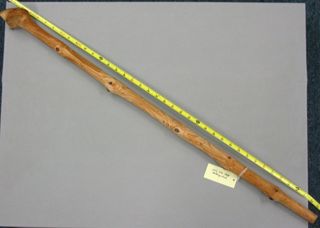 Walking stick
